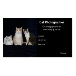 Photographie personnalisable d'affaires de chat modèle de carte de visite
