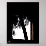 photographie posters
