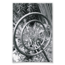 Photographie Q1 4x6 noir et blanc de lettre d'alph
