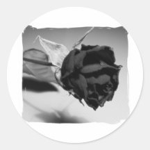 Photographie rose sèche - noir et blanc adhésifs ronds