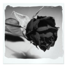Photographie rose sèche - noir et blanc invitations personnalisées