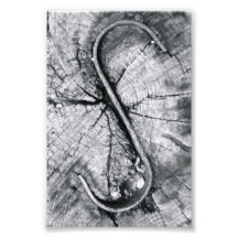 Photographie S2 4x6 noir et blanc de lettre d'alph