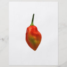 Photographie simple de poivre de Habernero Prospectus Avec Motif