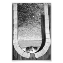Photographie U2 4x6 noir et blanc de lettre d'alph
