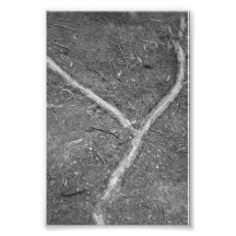 Photographie Y1 4x6 noir et blanc de lettre d'alph