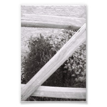 Photographie Z2 4x6 noir et blanc de lettre d'alph