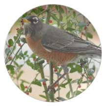 Photographies : oiseaux - assiettes