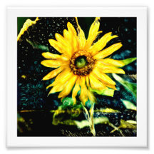 Photograpy original de tournesol cosmique par le s