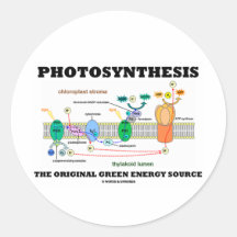 Photosynthèse la source d'énergie verte originale adhésifs