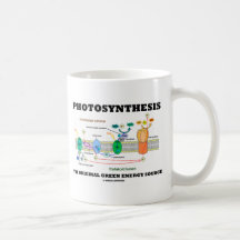 Photosynthèse la source d'énergie verte originale tasse