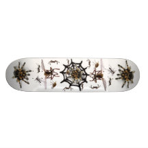 PIÈGE D'ARAIGNÉE ! PLATEAUX DE PLANCHE À ROULETTES