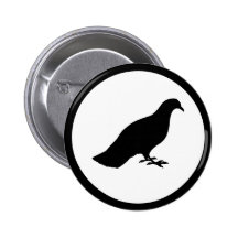 Pigeon Badges Avec Agrafe
