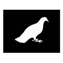Pigeon Cartes Postales