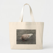 Pigeon de alimentation sacs en toile