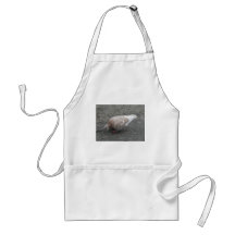 Pigeon de alimentation tablier