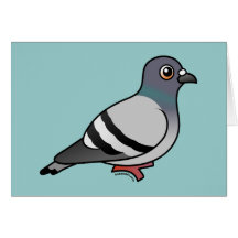 Pigeon de roche mignon carte de vœux