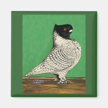 Pigeon de vrille de Blondinette Magnets Pour Réfrigérateur