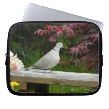 Pigeon Trousses Pour Ordinateur Portable