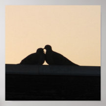 Pigeons Affiche