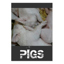 Pile de ferme ou de ranch de porc de porcelets cartes de visite personnelles