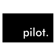 pilote carte de visite