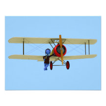 Pilote et biplan bristols