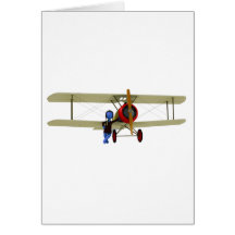 Pilote et biplan cartes