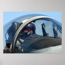 Pilote F-18 Posters
