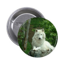 Pin arctique de loup pin's avec agrafe