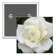Pin carré de significations roses badge