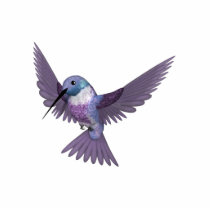 Pin coloré de colibri de KRW sculptures photos