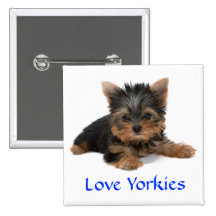 Pin de bouton de chiot de Yorkies d'amour Badge Avec Épingle
