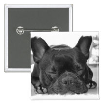 Pin de carré de bouledogue français badge avec épingle
