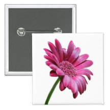 Pin de carré de marguerite de Gerbera Badges Avec Agrafe