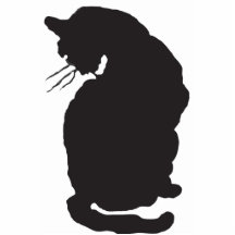 Pin de chat noir de Halloween Photos En Relief