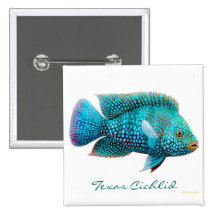 Pin de Cichlid de Carpintis le Texas Badges Avec Agrafe
