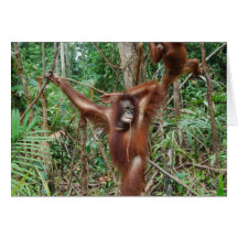 Pin de faune vers le haut de photo de fille cartes