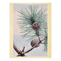 Pin de Matsu/Megata Ukiyo-e. Cartes Postales
