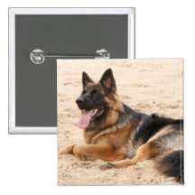 Pin de repos de carré de chien de berger allemand badges