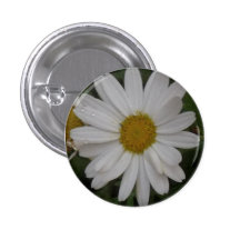 Pin plante des marguerites badges avec agrafe