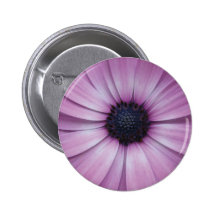 Pin pourpre de fleur de marguerite de Gerbera/broc Pin's