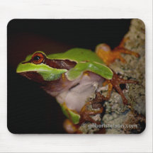 pinebarrentf13, gilbertstetson.com tapis de souris