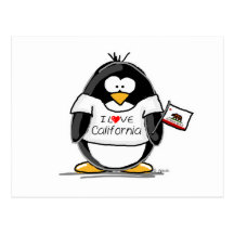 Pingouin de la Californie Cartes Postales