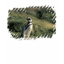 Pingouin de Magellanic (magellanicus de Spheniscus T-shirts