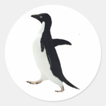 Pingouin socialement maladroit adhésif rond
