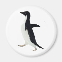 Pingouin socialement maladroit aimant