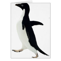 Pingouin socialement maladroit cartes de vœux