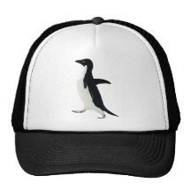 Pingouin socialement maladroit casquettes
