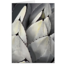 "Pingouins " Carte De Vœux