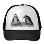 Pingouins Casquettes De Camionneur